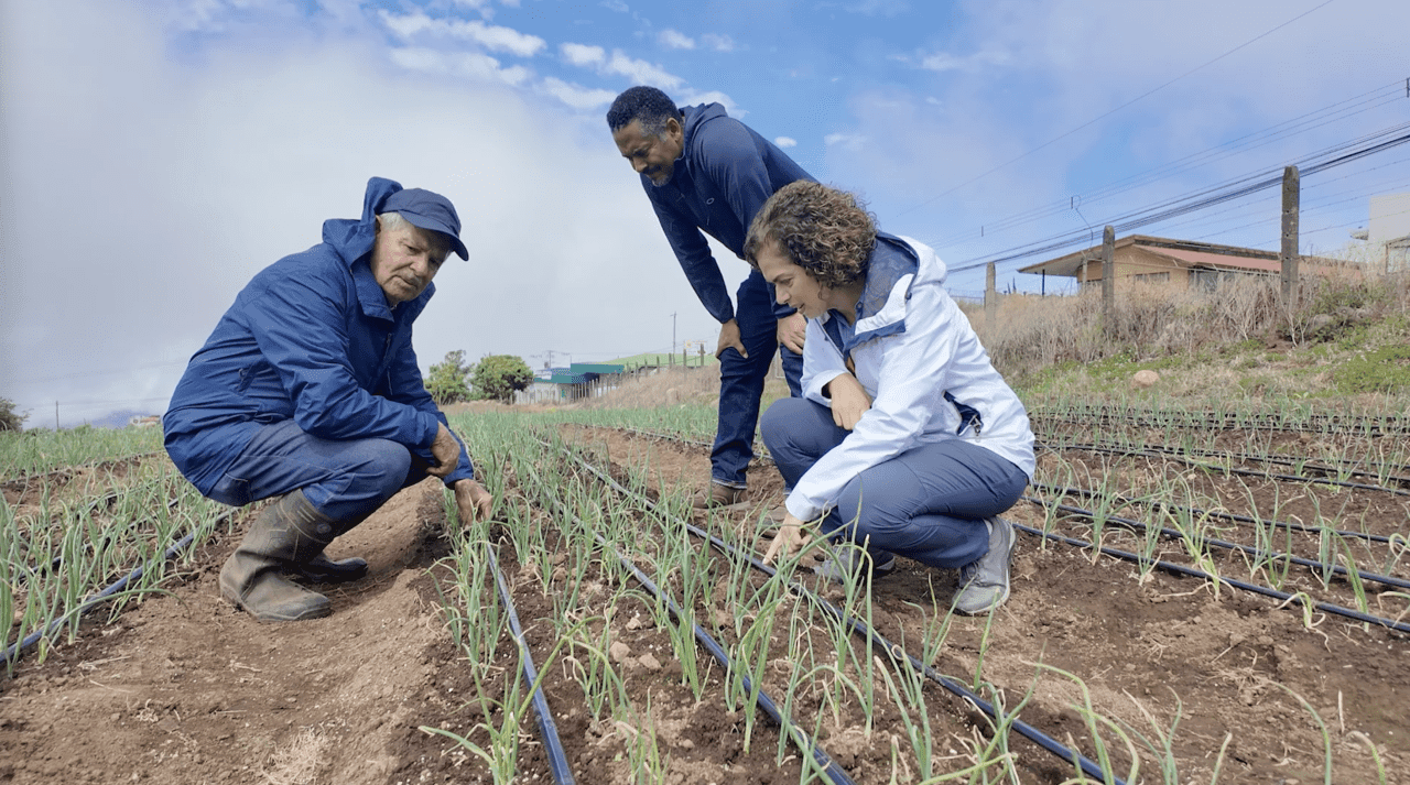 Herramienta inteligente del TEC revoluciona la agricultura en Cartago