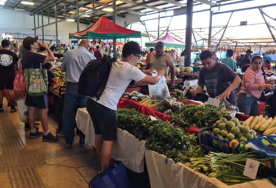 Ley 8533: El marco legal que protege la venta directa del agricultor costarricense