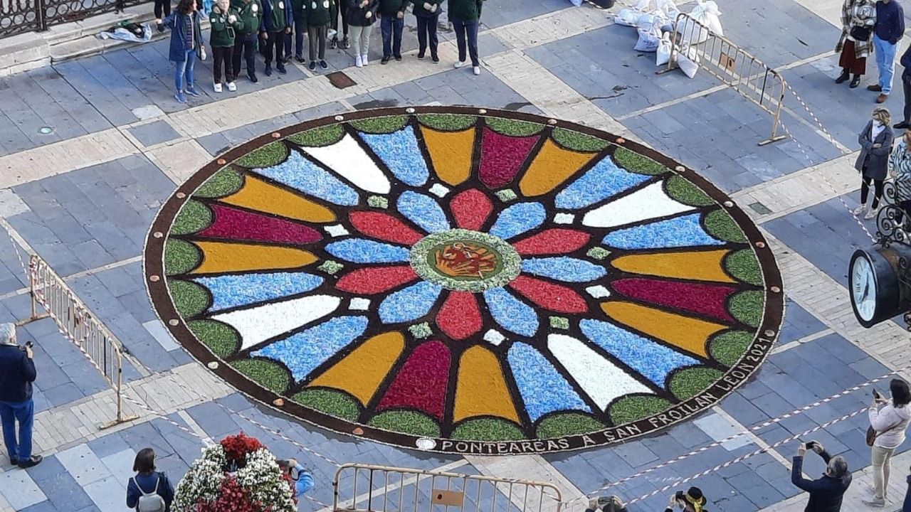 Alfombra floral dará la bienvenida a la Ofrenda del Pilar 2025